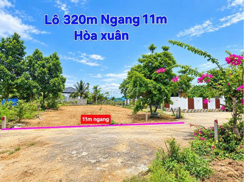 🌎Giá chỉ 1tỷ650/ Lô--CỤM 3 LÔ LIỀN KỀ khu Chợ Đầu Mối Hòa Xuân 🌎