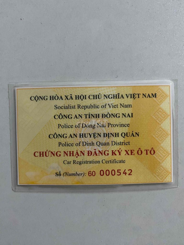 Ảnh số 7