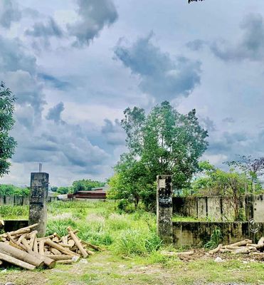 Plot of land 991 m² · Đường Cây Trôm Mỹ Khánh