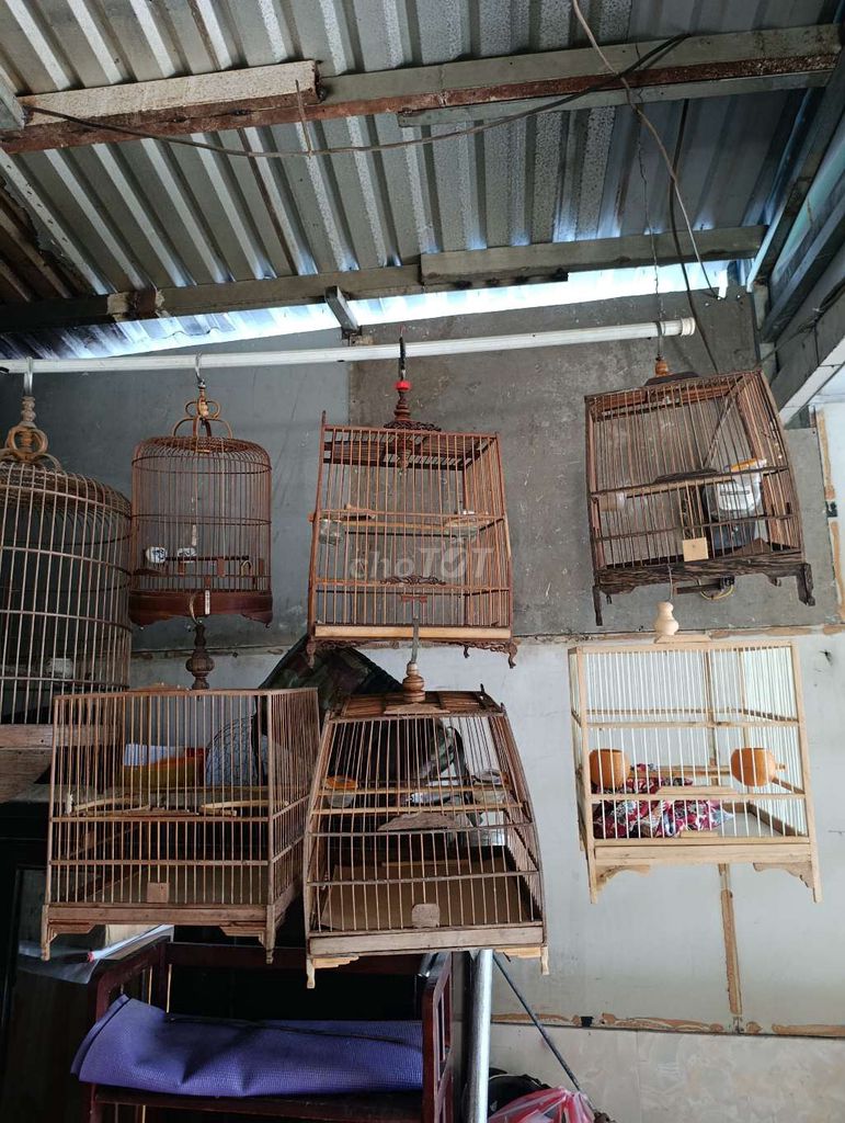 thanh lý tat cả các loại lồng.. Mua bán Phụ kiện, Thức ăn, Dịch vụ tại Quận 7 Tp Hồ Chí Minh được đăng bởi hữu hình 1