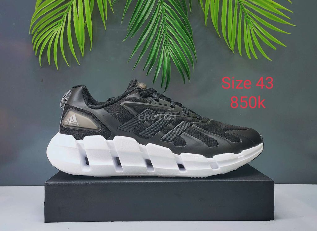 Giày Adidas Climacool size 43 2hand chính hãng