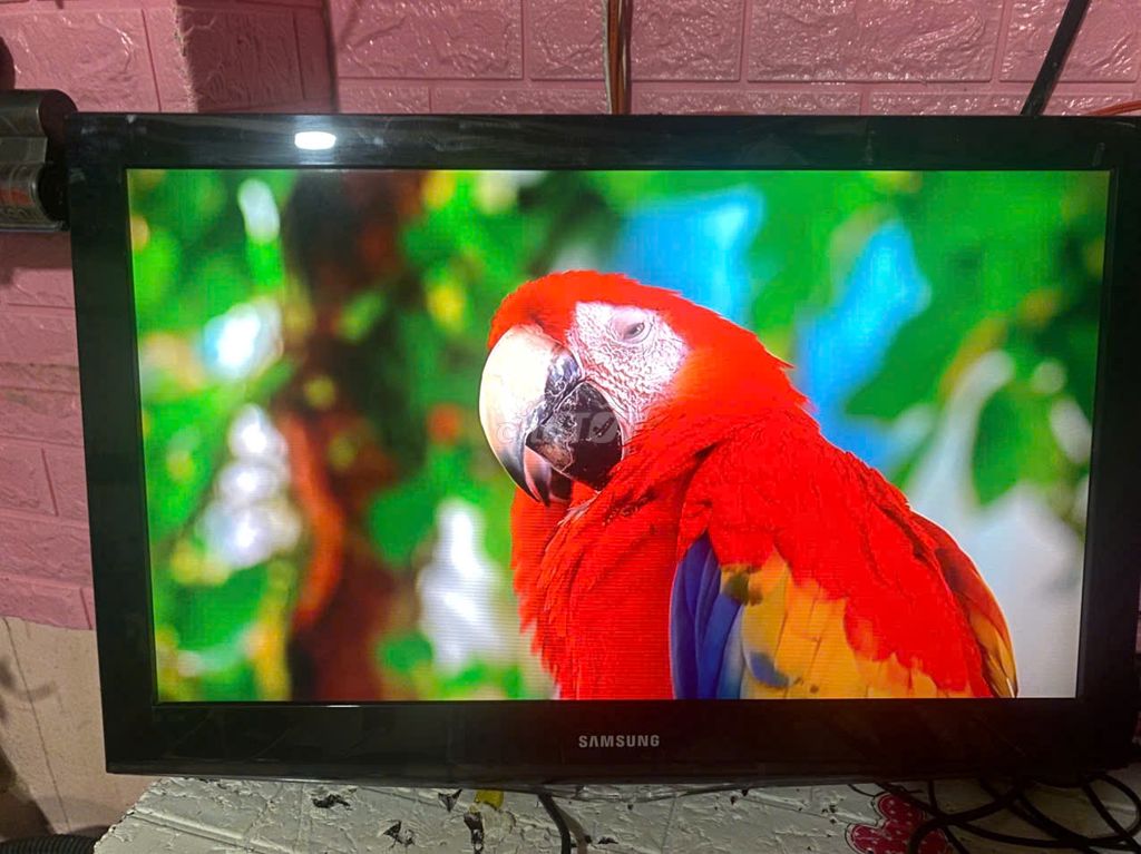 TIVI LCD Samsung 32in (LA32C400)   hd