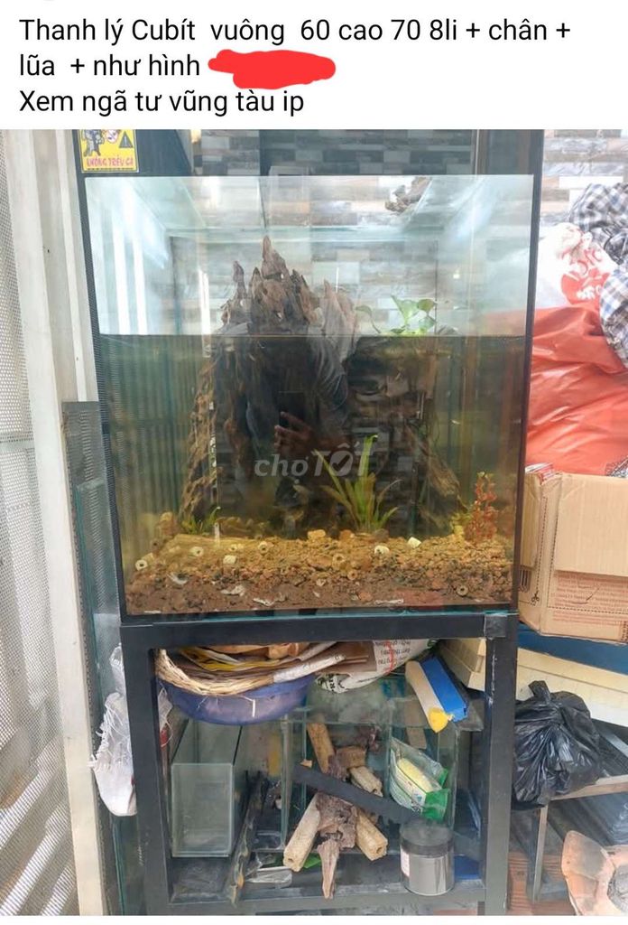 Bể cá cảnh Vuông 60x70cm Kính 8 li. Mua bán Phụ kiện, Thức ăn, Dịch vụ tại Thành phố Biên Hòa Đồng Nai được đăng bởi hậu  hình 1