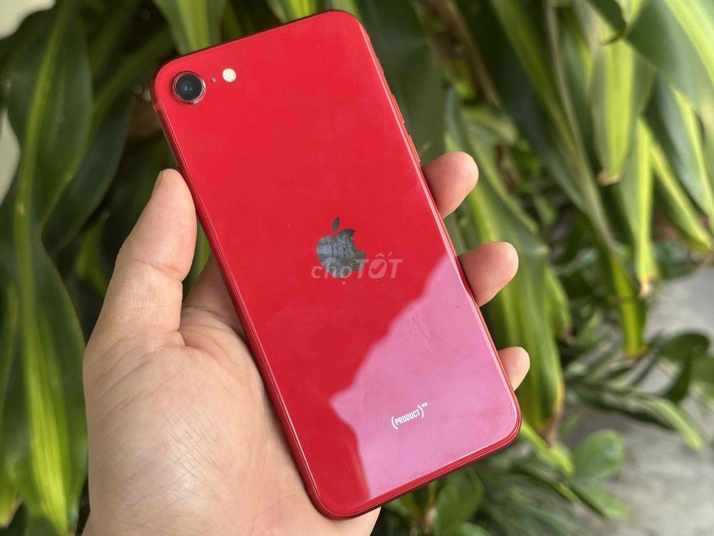 Apple iPhone SE 2020 64GB Trắng Zin. Mua bán Điện thoại tại Quận Ninh Kiều Cần Thơ được đăng bởi ĐIỆN THOẠI GIÁ TỐT UY TÍN  hình 1