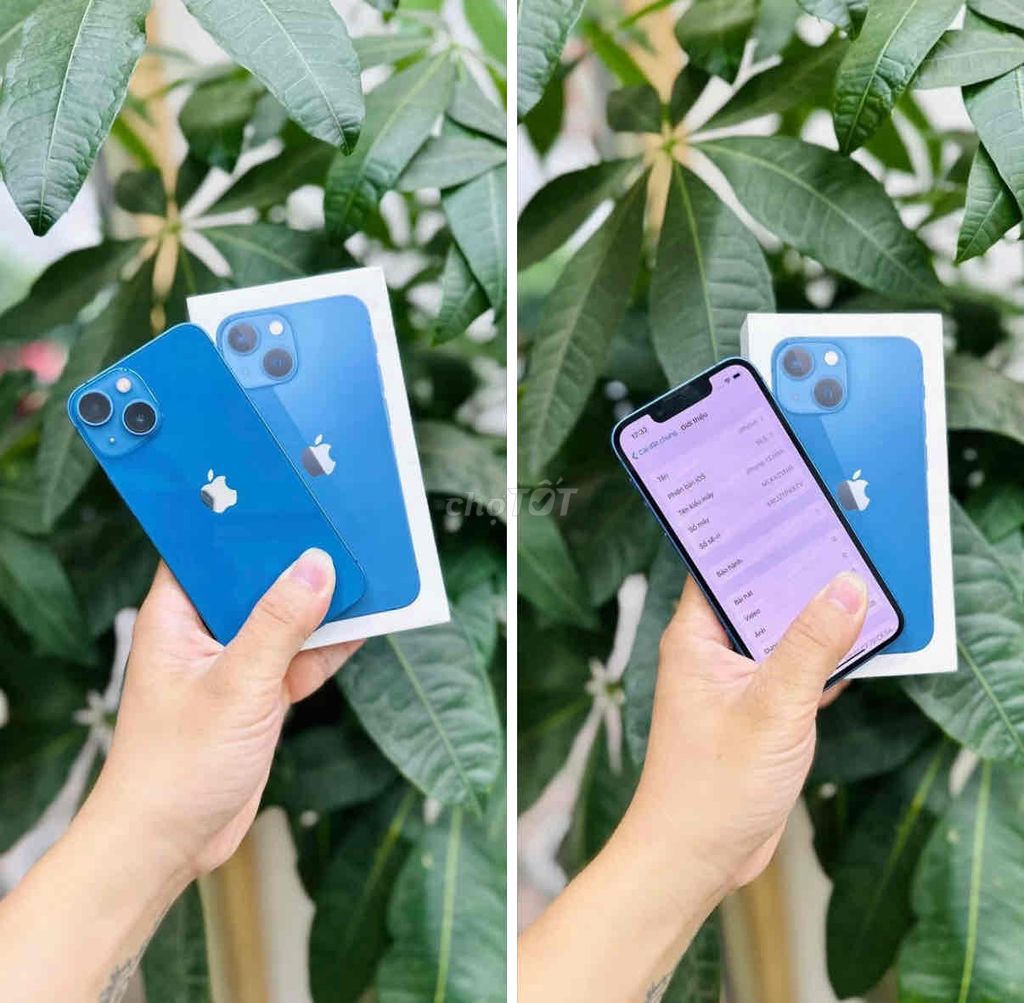 iPhone 13 Mini 256GB Xanh FULLBOX CHẤT APPLE 2025. Mua bán Điện thoại tại Quận Thanh Xuân Hà Nội được đăng bởi Nguyễn Huy Dũng hình 1