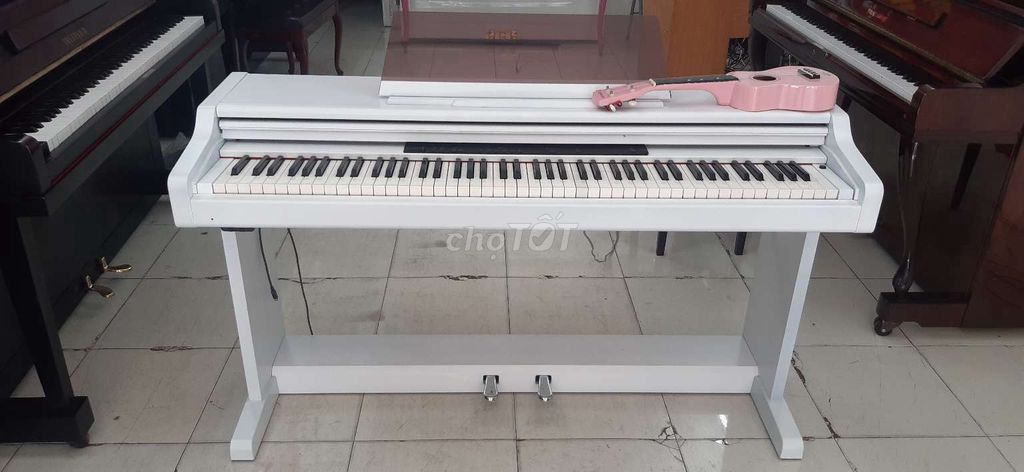 0339948379 - Piano điện TECHNISC 1002b japan phím chuẩn