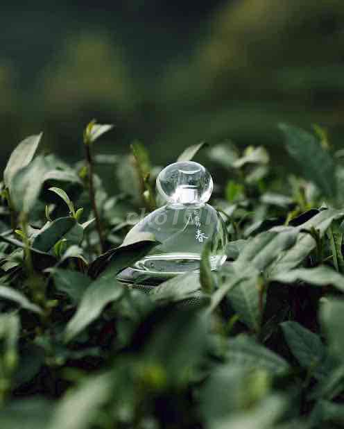 Nước hoa Toả Xuân Chi Trà. Mua bán Nước hoa tại Quận 1 Tp Hồ Chí Minh được đăng bởi Lê Anna hình 1