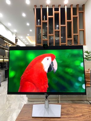 Màn hình đồ họa Dell UltraSharp U3223QZ 4K có loa. Mua bán Phụ kiện (Màn hình, Chuột...) tại Quận Hoàng Mai Hà Nội được đăng bởi Nguyễn Văn Tuấn