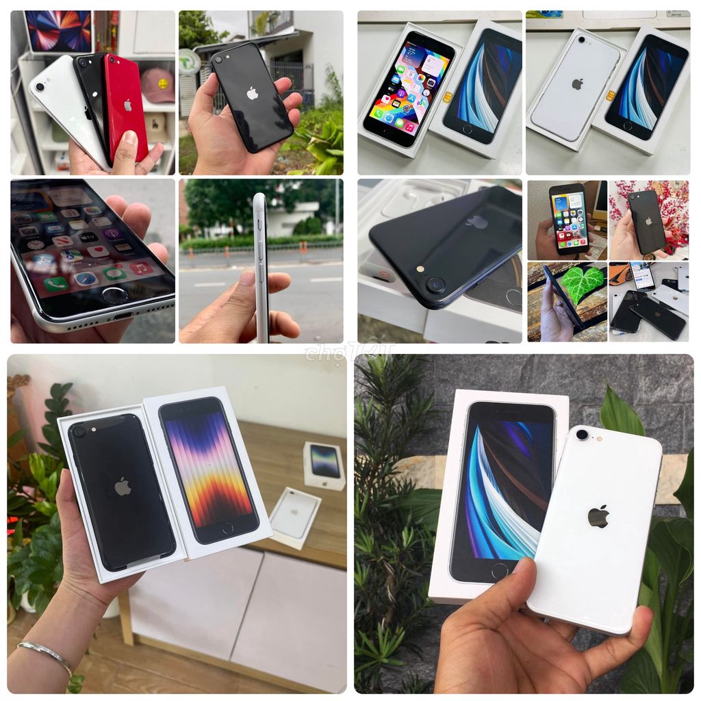 iphone SE 2020 mạnh ngang 11promax/256/128/64GB. Mua bán Điện thoại tại Quận Tân Phú Tp Hồ Chí Minh được đăng bởi Thảo Anh Apple Giá sỉ hình 1