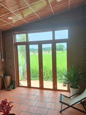 Cho thuê homestay view cánh đồng lúa cực hot. Cho thuê nhà ở tại Huyện Đất Đỏ Bà Rịa - Vũng Tàu được đăng bởi Đại Thành Công