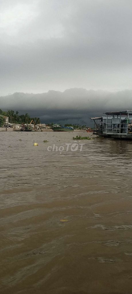 Gà chuối lai 2.6kg Đang lên tơ. Mua bán Gà tại Quận Ô Môn Cần Thơ được đăng bởi Nhẩn Bắp hình 1