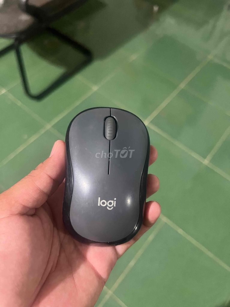 Chuột Logitech Xám Like New. Mua bán Phụ kiện (Màn hình, Chuột...) tại Huyện Hòa Thành Tây Ninh được đăng bởi Khang hình 1