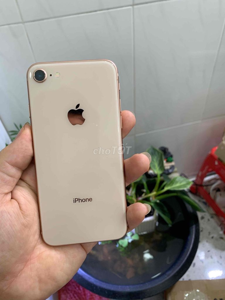 iPhone 8 64GB quốc tế icloud 9 chủ zin đẹp keng