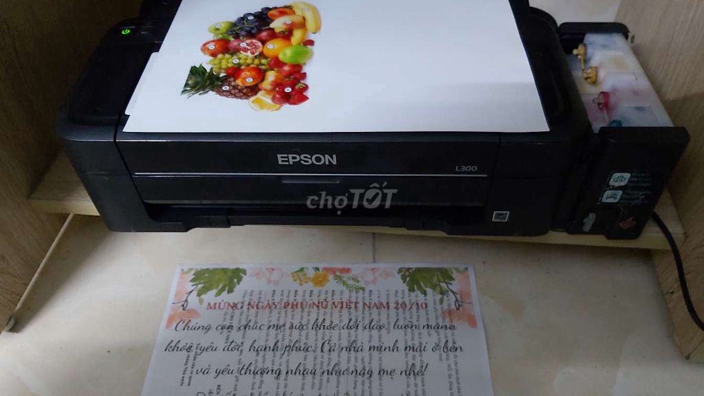 Máy in epson mode L300 in gd hoặc gd