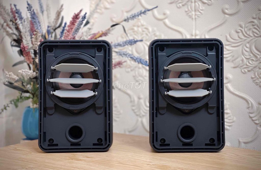 Loa Bose 101SD. Mua bán Tivi, Âm thanh tại Quận Ninh Kiều Cần Thơ được đăng bởi Henry hình 1