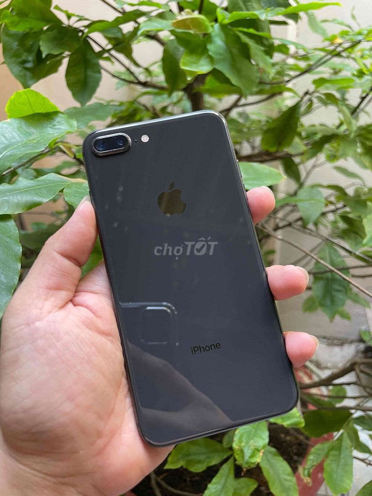 Apple iPhone 8 Plus 64GB Đen 98-99%. Mua bán Điện thoại tại Quận Ninh Kiều Cần Thơ được đăng bởi Phúc Nguyễn hình 1