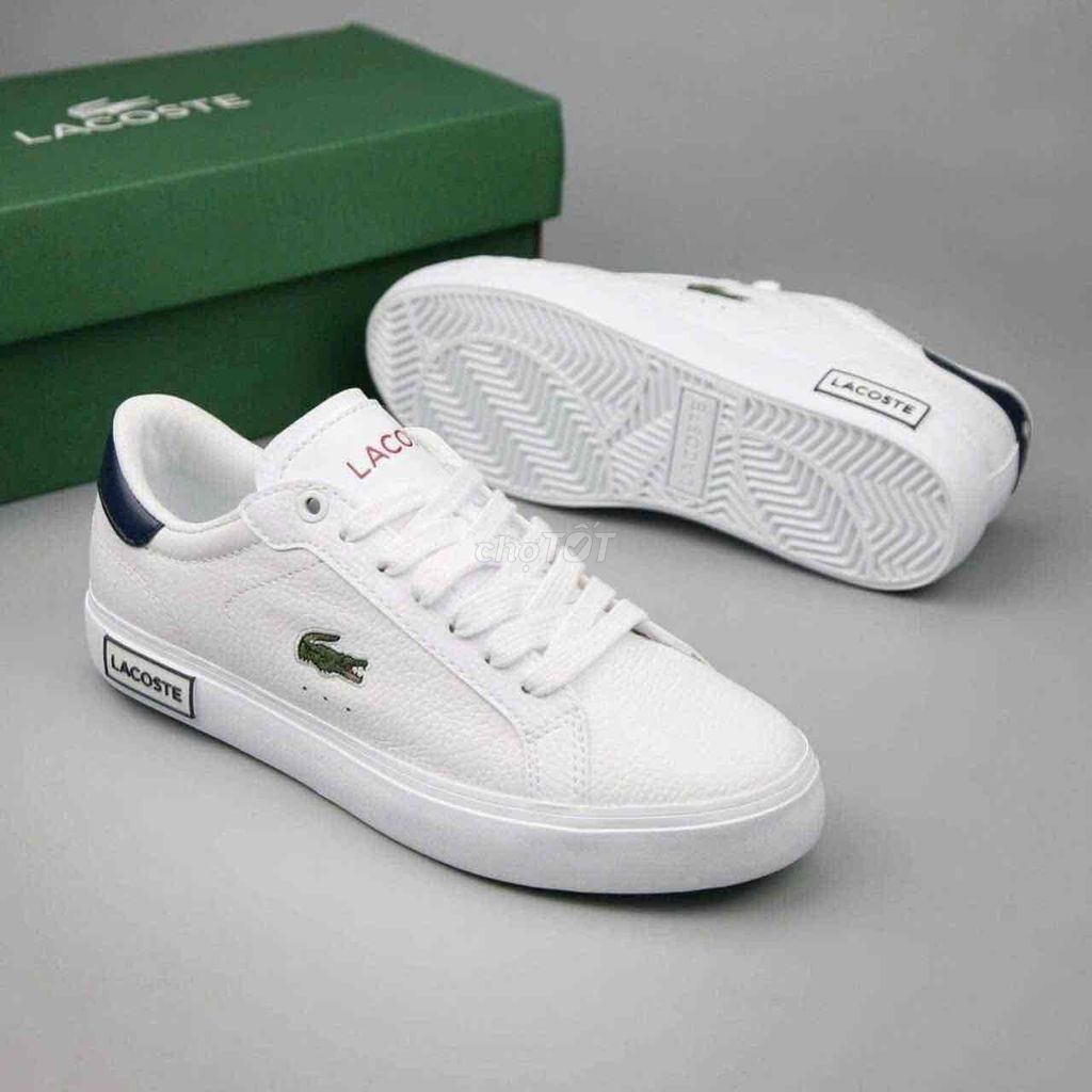 Giày ba ta Lacoste chất