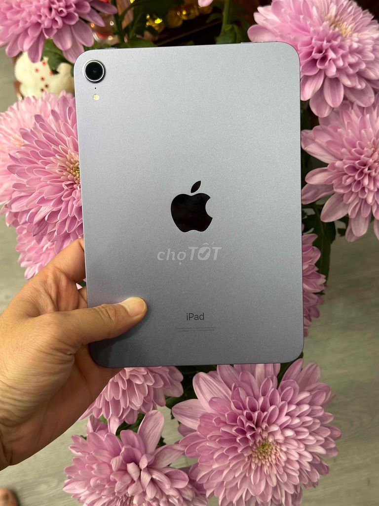 IPad Mini 6 64GB Wifi Pin 85 Zin đẹp 98% 8.3". Mua bán Máy tính bảng tại Quận Ninh Kiều Cần Thơ được đăng bởi Quý Mobile Cần thơ hình 1