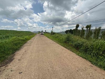 chuyển về bắc nên bán luôn nhà cửa 2,4ha ngay chợ lớn. Mua bán đất tại Huyện Đắk Mil Đắk Nông được đăng bởi HOÀNG MINH DUYỆT