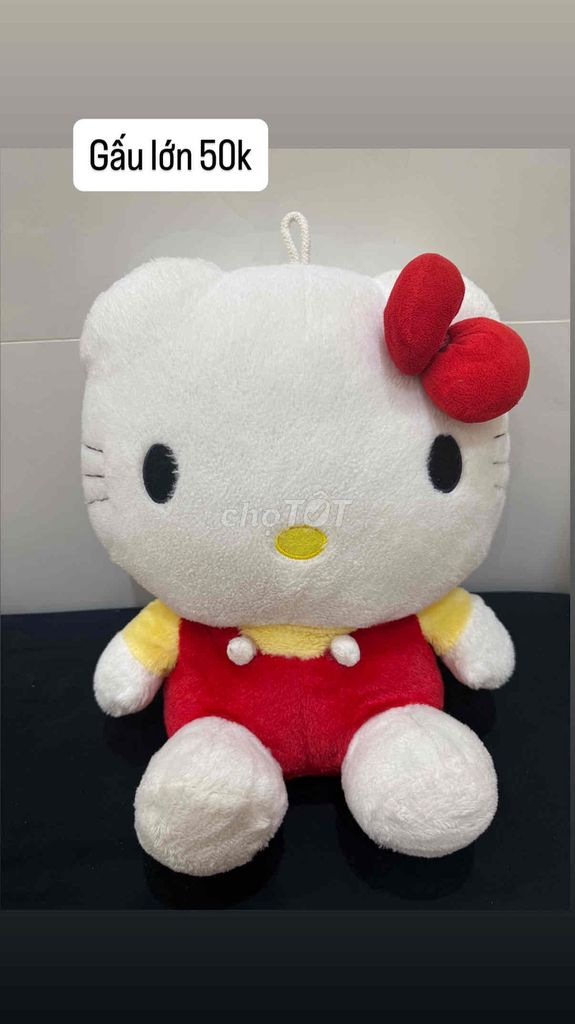 Thú nhồi bông Hello Kitty Vải bông. Mua bán Sở thích khác tại Huyện Nhà Bè Tp Hồ Chí Minh được đăng bởi PHẠM NHÃ DIỄM hình 1