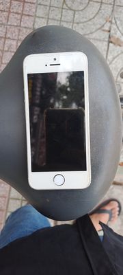 iPhone 5S Trắng