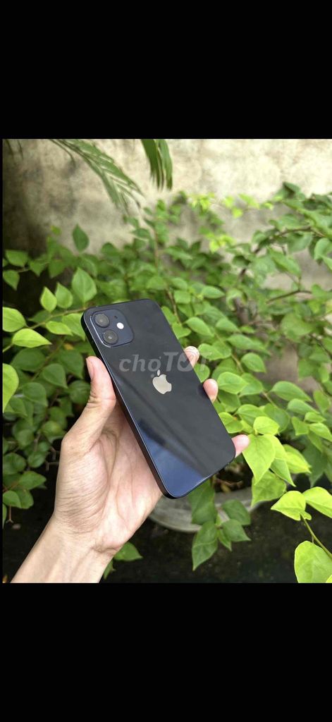 Apple iPhone 12 64GB zin full chức năng. Mua bán Điện thoại tại Thành phố Qui Nhơn Bình Định được đăng bởi Gia Long hình 1