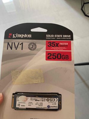 Ssd M.2 Kingston Nv1 250 Gb 2280 Nvme Snvs/250gb. Mua bán Linh kiện (RAM, Card...) tại Quận Bình Tân Tp Hồ Chí Minh được đăng bởi Ho Nguyen