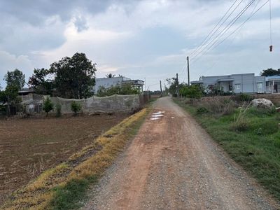 Đất lúa Đảo Long Hựu 600m2 mô hình nhà vườn giá rẻ 700tr