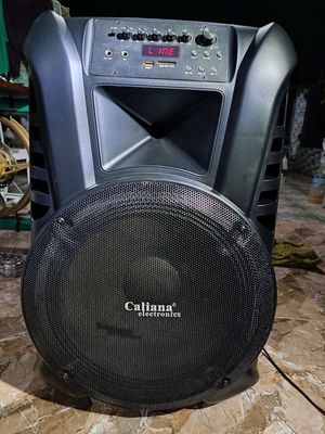 LOA KÉO CALIANA TN-15B bass 4 tấc, công suất 300w. Mua bán Tivi, Âm thanh tại Thành phố Cao Lãnh Đồng Tháp được đăng bởi Bình