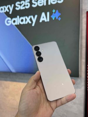 Samsung Galaxy S25 Plus Xám