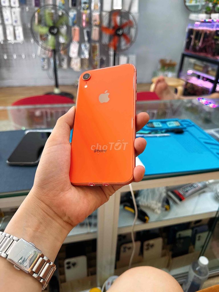 Iphone XR QuốcTế full zin nguyên bản 100% ngon 🍀. Mua bán Điện thoại tại Quận Thanh Khê Đà Nẵng được đăng bởi Hoàng Apple Iphone sỉ giá rẻ 273 Nguyễn Hoàng Đà Nẵng hình 3