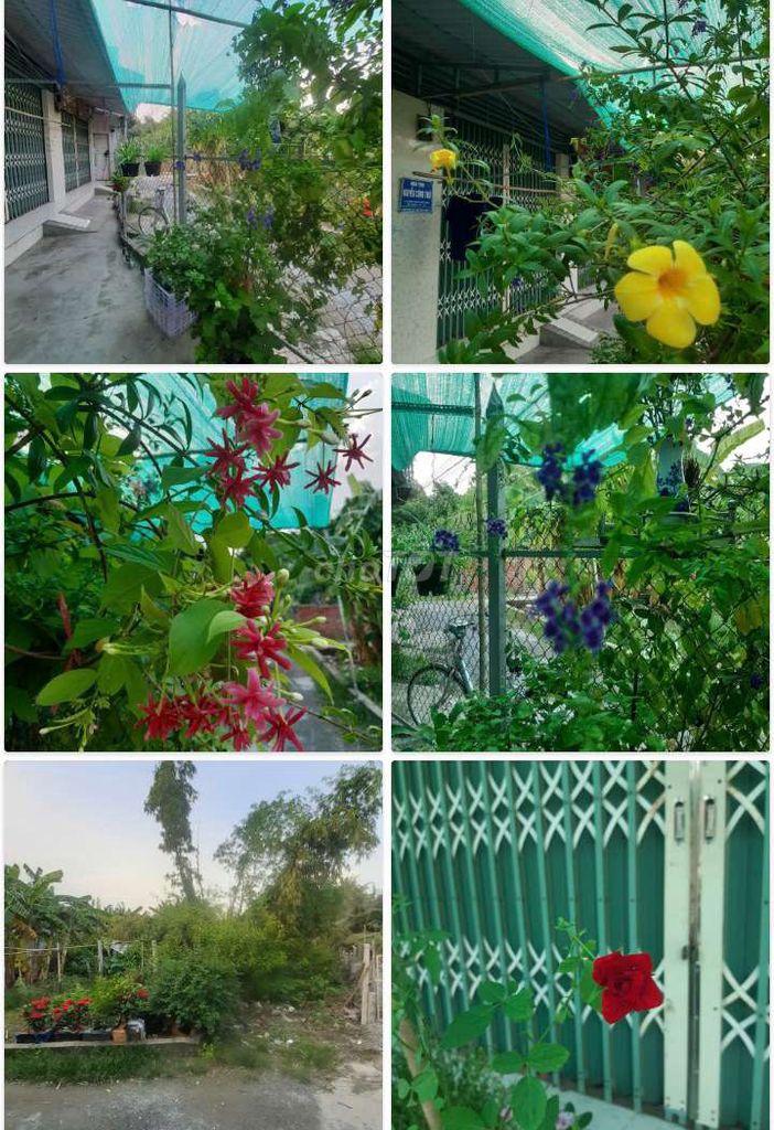 Cho thuê - www.nhathuelx.site. Du lịch tại Thành phố Long Xuyên An Giang được đăng bởi Thanh Nhã hình 1