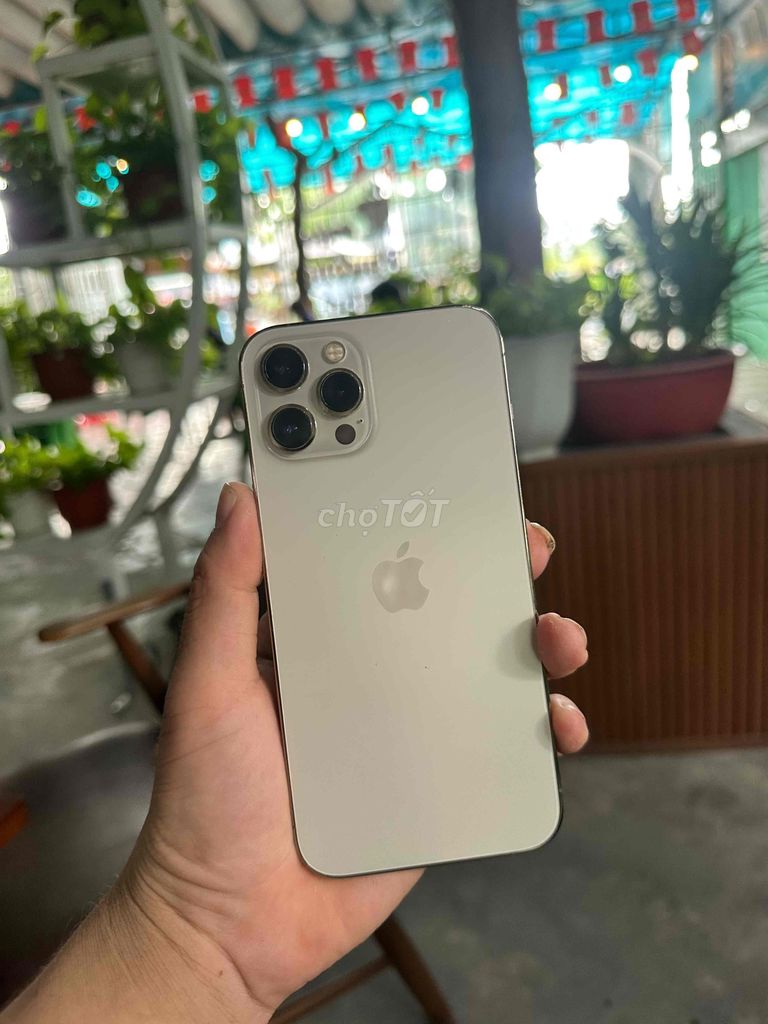 iPhone 12 Pro Max  98.5% QT mai zin áp pin 100. Mua bán Điện thoại tại Huyện Cao Lãnh Đồng Tháp được đăng bởi minh dt zin 66 hình 1