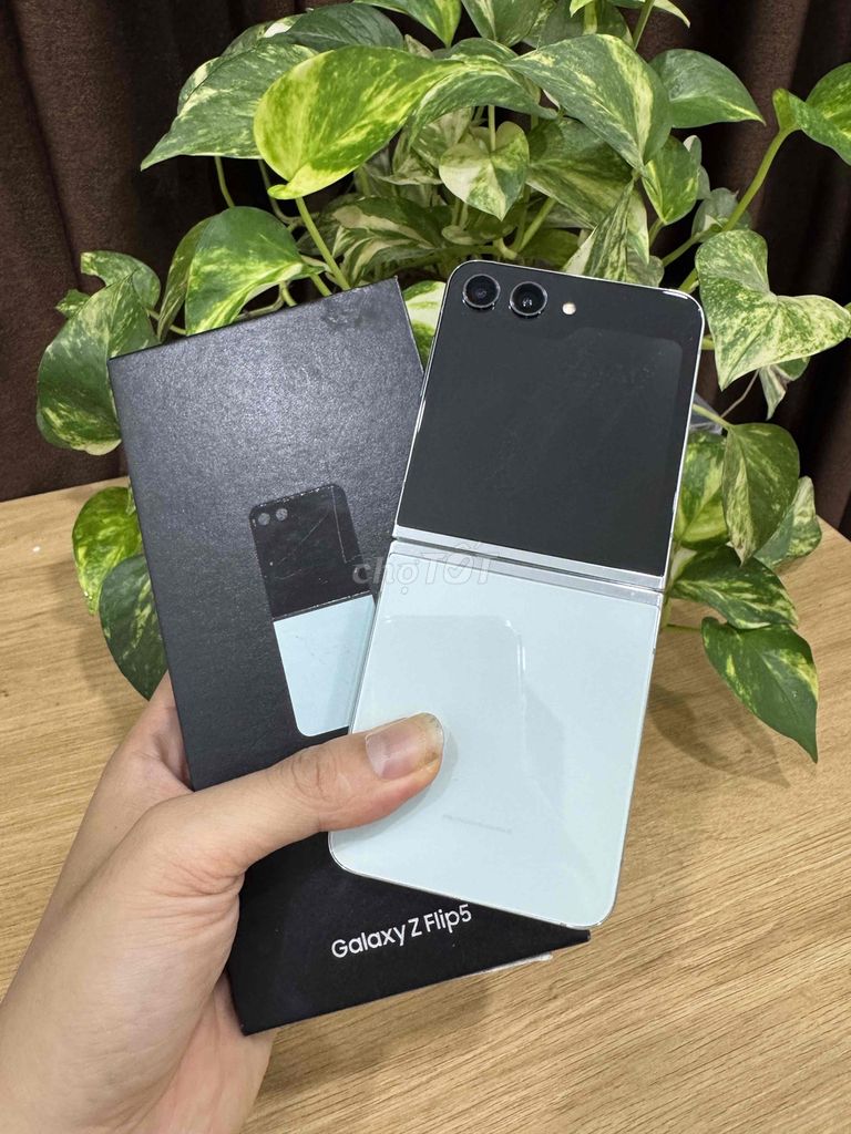 Samsung Z Flip5 8GB/256GB Quốc Tế CÓ COD - GÓP. Mua bán Điện thoại tại Quận Hoàng Mai Hà Nội được đăng bởi Gia Vinh hình 1