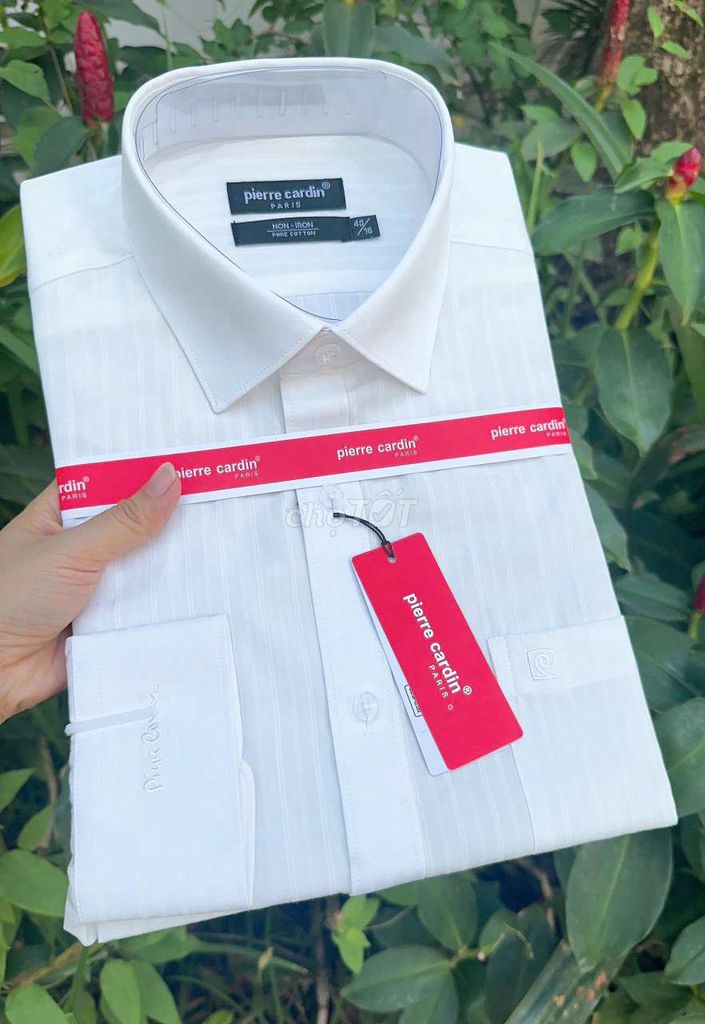 Sơ mi dài tay Pierre Cardin Nam Cotton. Mua bán Quần áo tại Quận 12 Tp Hồ Chí Minh được đăng bởi Huong hình 1