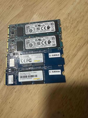 ổ cứng nvme, m2 toshiba,phison 512Gb. Mua bán Linh kiện (RAM, Card...) tại Quận Hoàng Mai Hà Nội được đăng bởi Phan xuân Hồng