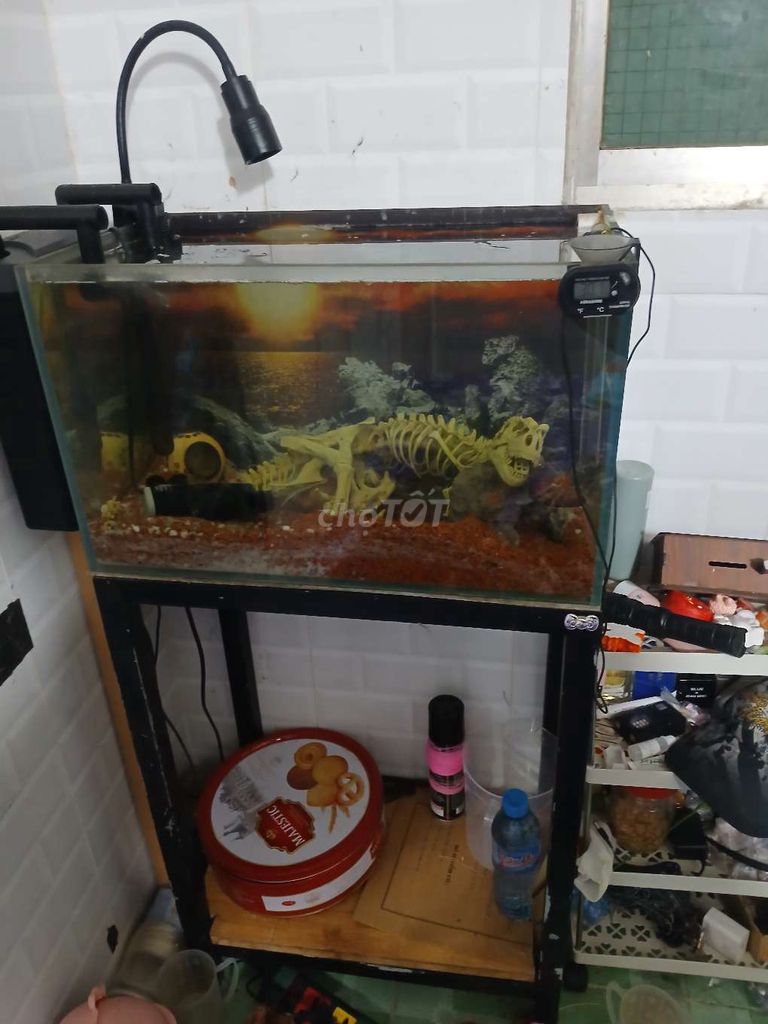 Bể cá cảnh 60x40x50 cm. Mua bán Phụ kiện, Thức ăn, Dịch vụ tại Huyện Bình Chánh Tp Hồ Chí Minh được đăng bởi Nguyễn Nguyễn hình 1