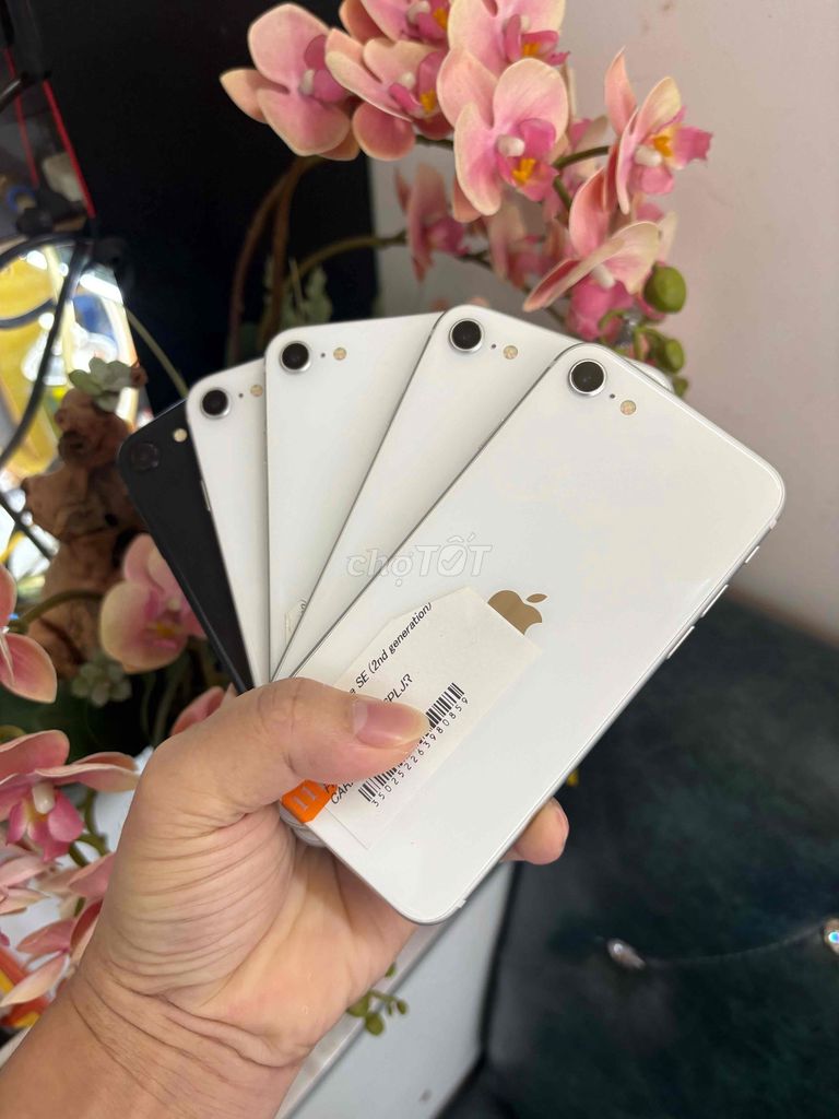 Apple iPhone SE 2020 Trắng, Đen quốc tế. Mua bán Điện thoại tại Thành phố Buôn Ma Thuột Đắk Lắk được đăng bởi Tèo Điện Thoại  hình 1