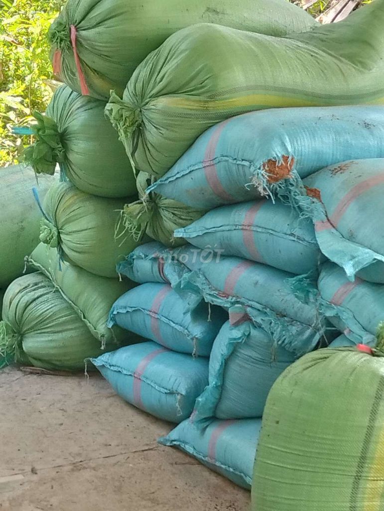 Tro trấu mụn dừa ươm cây tơi xốp. Mua bán Đồ chuyên dụng, Giống nuôi trồng tại Huyện Tam Bình Vĩnh Long được đăng bởi Quốc Bảo  hình 1