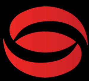 CÔNG TY TNHH TM DV SAO BĂNG logo