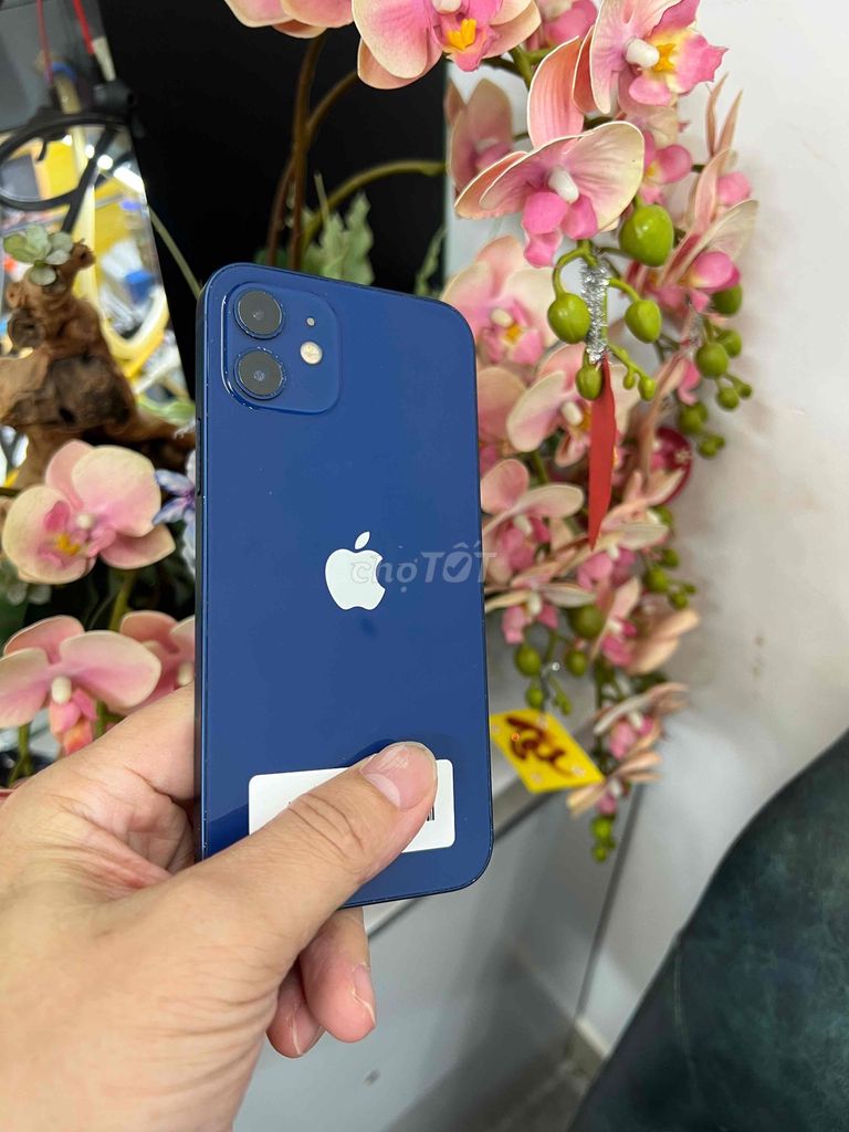 iPhone 12 64GB Xanh quốc tế. Mua bán Điện thoại tại Thành phố Buôn Ma Thuột Đắk Lắk được đăng bởi Tèo Điện Thoại  hình 1
