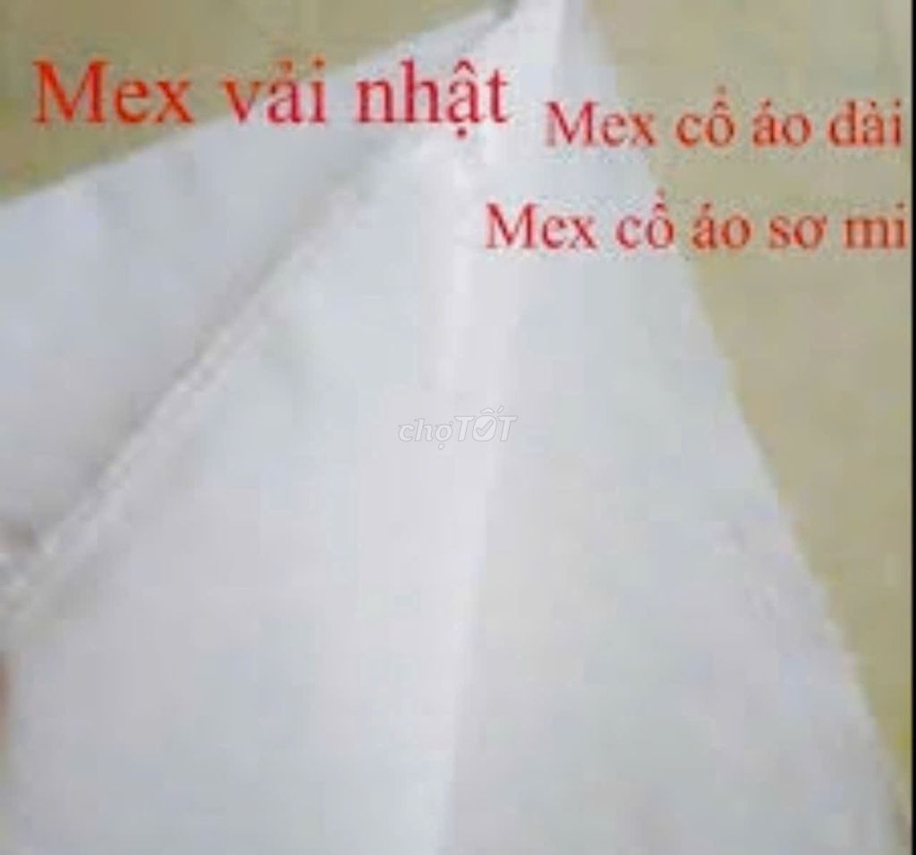 Thanh lý cây Mex Nhật giá rẻ