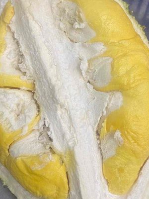 🌟 SẦU RIÊNG RI6 TÁCH SẴN. Mua bán Đồ ăn, thực phẩm và các loại khác tại Quận 10 Tp Hồ Chí Minh được đăng bởi SẦU RIÊNG Ri6