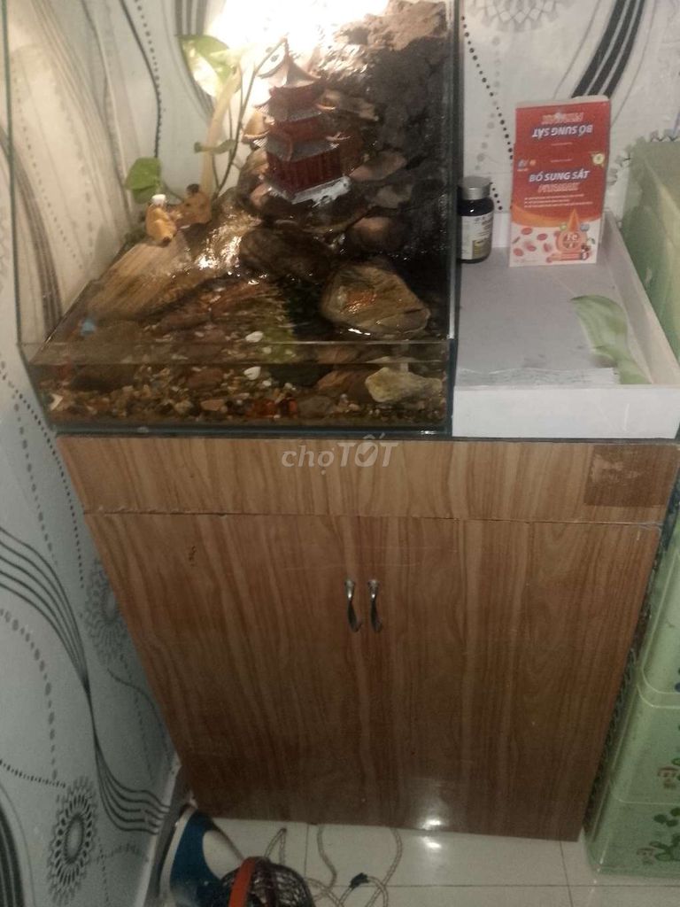 Hồ bán cạn Kính Gỗ Nâu. Mua bán Cây cảnh, đồ trang trí tại Quận Cẩm Lệ Đà Nẵng được đăng bởi Phước cau ca hình 1