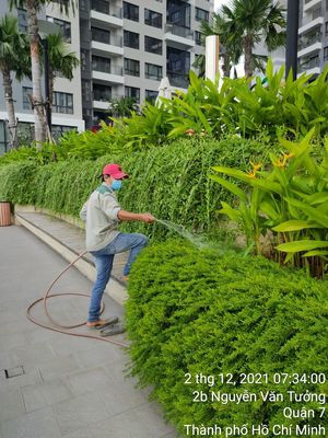 Tuyển dụng và nhân sự chăm sóc cây xanh. Việc làm tại Huyện Nhà Bè Tp Hồ Chí Minh được đăng bởi CTY TNHH CẢNH QUAN TRẺ hình 1