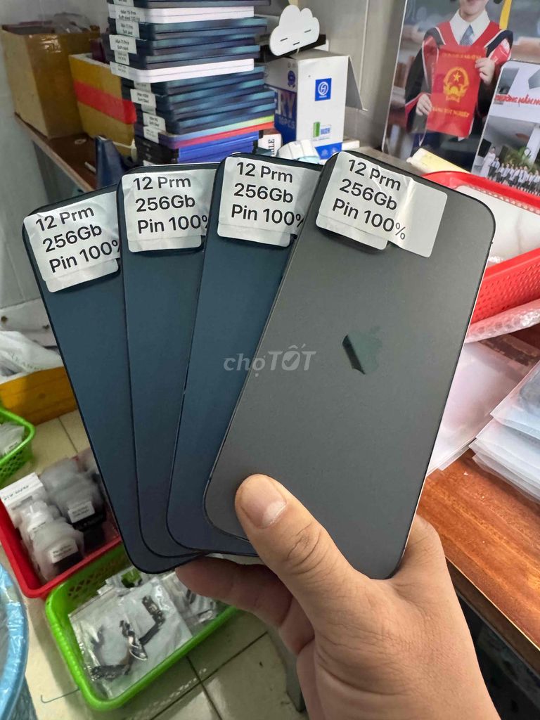 12 Pro Max 256GB zin all 99. Mua bán Điện thoại tại Thành phố Bến Tre Bến Tre được đăng bởi Trương Thanh Minh hình 1