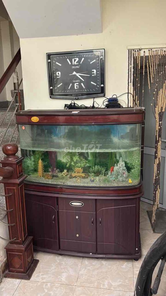 Bể cá cảnh Minjiang Kính Nâu. Mua bán Phụ kiện, Thức ăn, Dịch vụ tại Quận Tây Hồ Hà Nội được đăng bởi Nguyễn Thành Lộc hình 1