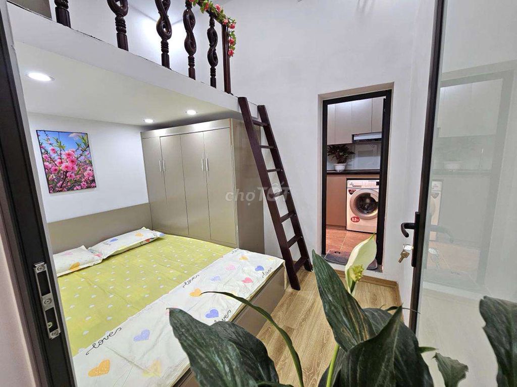 Ảnh 7