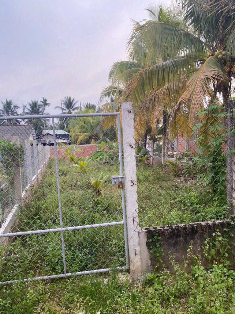 Đất 222,2 m2 (Đất thổ 100m2 ) F nhị quý giá chiỉ 680trieu