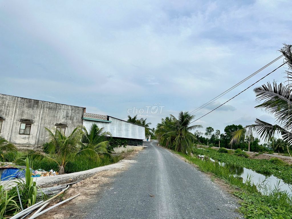 1000mv vườn đường 7 chổ giá chỉ 550 triệu sổ sẵn công chứng nhanh. Mua bán đất tại Huyện Bến Lức Long An được đăng bởi BaoBDS hình 3